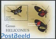 Butterfly s/s, Heliconius doris
