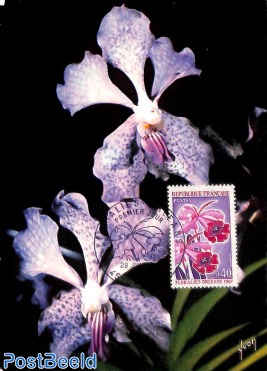 Orleans flower exposition 1v