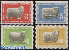 Sheep 4v