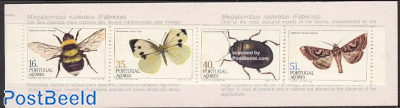 Insects booklet